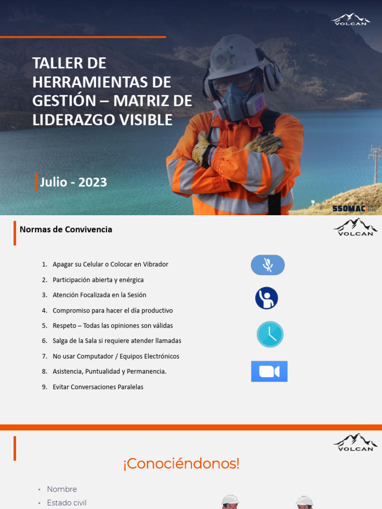 Herramientas de Gestión en SSOMAC Volcan | PDF | Auditoría | Software