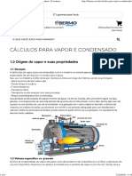 Cálculos para Vapor e Condensado - BERMO