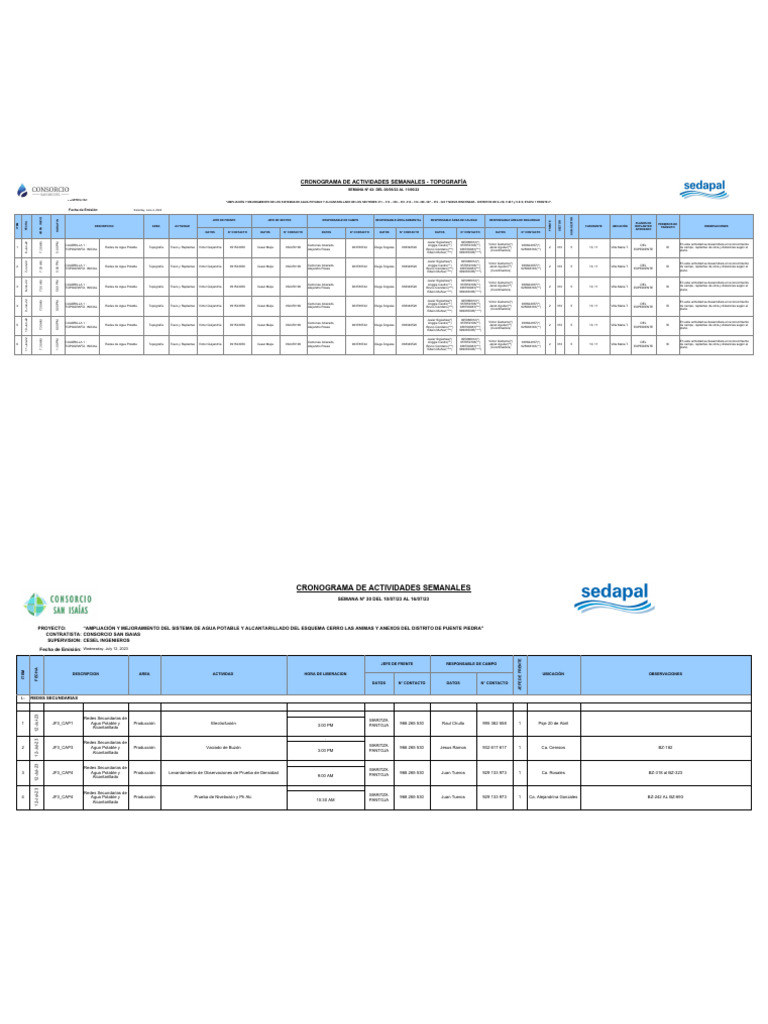 Programaci n de liberaciones 12 07 23 redes secundarias f1 pdf