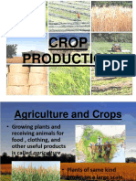 Crop Production 160216131603