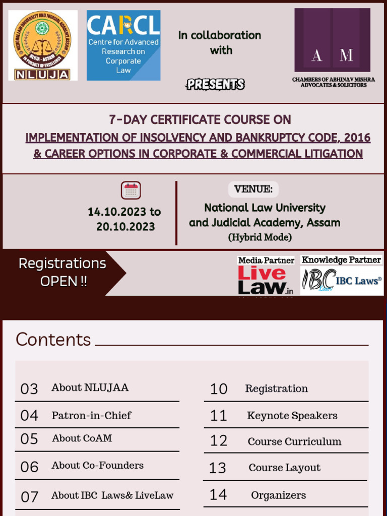 brochure-exclusive-for-ibc-laws-aamended-pdf-bankruptcy-lawyer