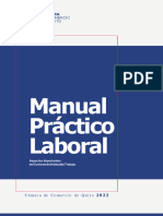 Manual Practico Labor Al 2022