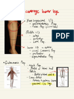 การบ้าน Flap Coverage Lower Legs