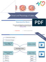 7-Onset & Physiology of Labor