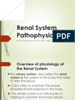 Pathophysiology of The Renal System For Pharmacy 2023
