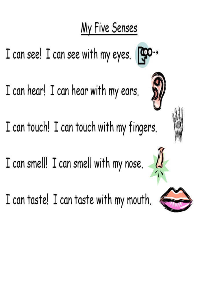 My Five Senses | PDF
