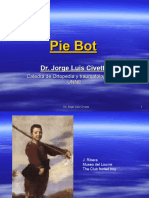Pie Bot Clase de La Catedra
