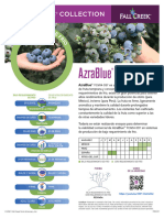 FCC AzraBlue Promo Pg1 ES 092121