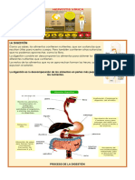 La Digestión