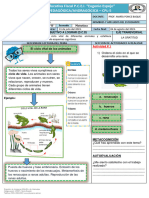 Ficha Pedagogica-Post-Cc - NN