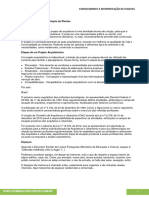 20 Conhecimento e Interpretação de Plantas