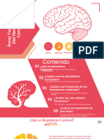 Trabajo de Areas Funcionales de Los Hemiferios Cerebrales