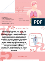 Circulacion Coronaria y Cerebral, Caract. Fis-Quimi
