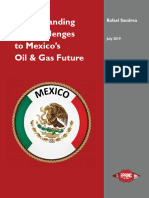 Sandrea Mexico Paper July 2019 FINAL 1