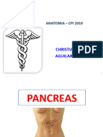 CFC - Pancreas.