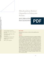 Mitochondrion Related Annurev - Micro.62.081307