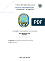 Informe de Supervisión Portocarrero Espinosa PDF