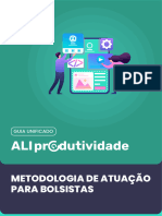 ALI Produtividade - Guia Metodológico