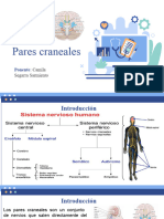 Primera Ponencia de Pares Craneales