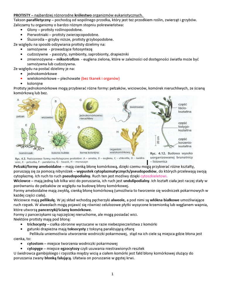 Protisty 2021 | PDF