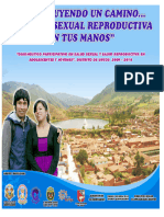 Diagnostico Urcos 