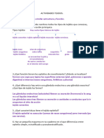 Actividades Tejidos