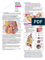 2.embriologia y Anatomia Aparato Reproductor Femenino