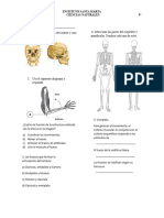 Examen Final 9°