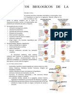 Examen 1 Psico