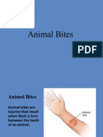 Animal Bites-WPS Office