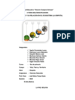 Los Seres Vivos y Su Relación Con El Ecosistema
