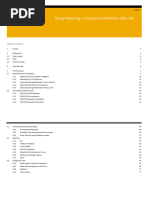 Group Reporting - Financial Consolidation (1SG - XX)