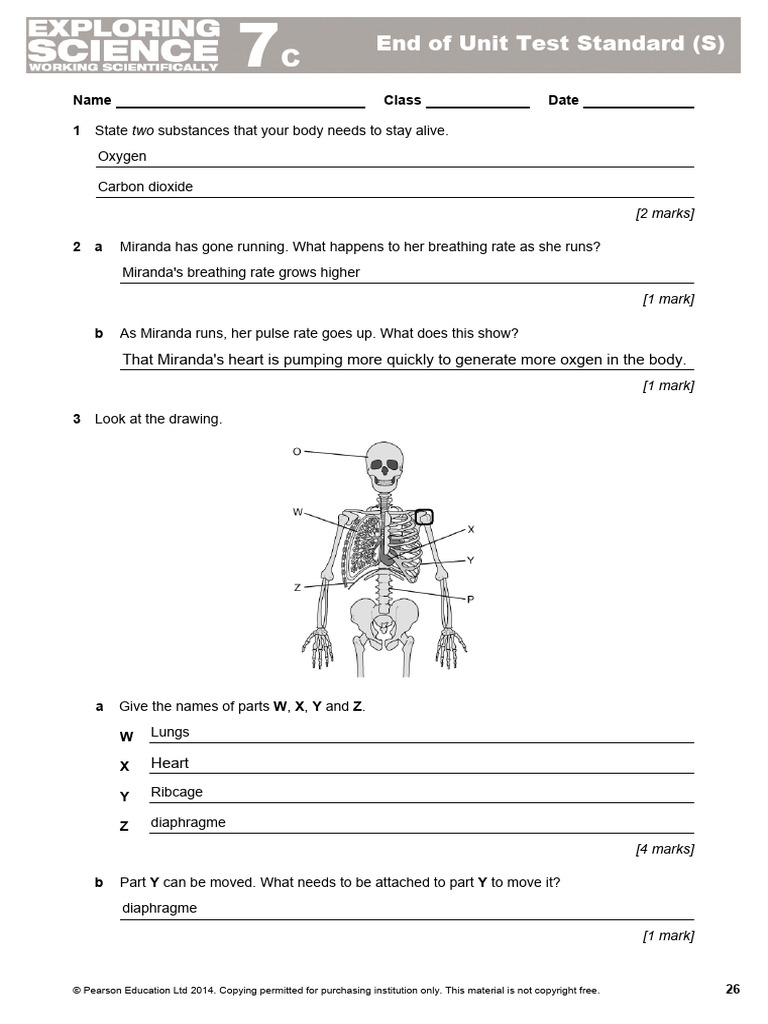 7c Test Paper | PDF | Arm | Blood