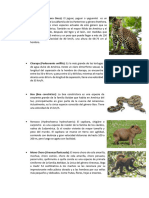 Animales Fisica PDF