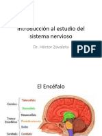 Introducción Al Estudio Del SNC DR HZ