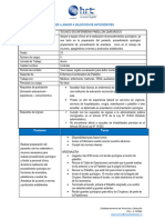 Bases Llamado A Selección de Antecedentes: Funciones Tareas