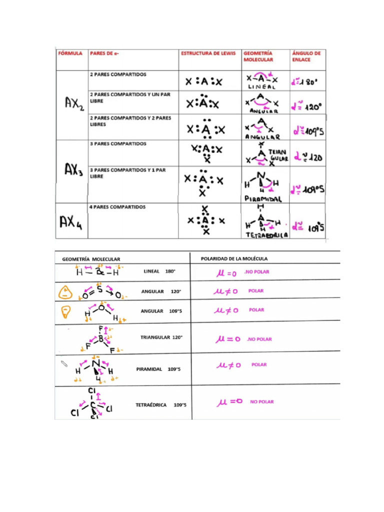 Trepev | PDF