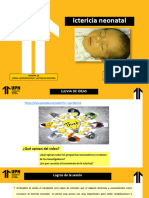 Sesión Clase-Neolm-Sem-10-Teoría