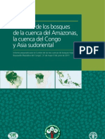 Situacion de los Bosques de La Cuenca Amazonas la cuenca del Congo y Asia sudoriental