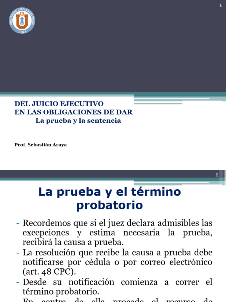 La Prueba y La Sentencia, en El Juicio Ejecutivo | PDF | Sentencia (ley