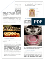 Anatomia Dentária