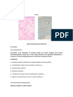 Copia de Casos Clinicos Paralelo C 5to Ciclo Anatomia Patologica