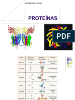 Proteinas y Enzimas-2020
