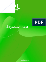 Algebra Lineal Semana 1 PF 095100