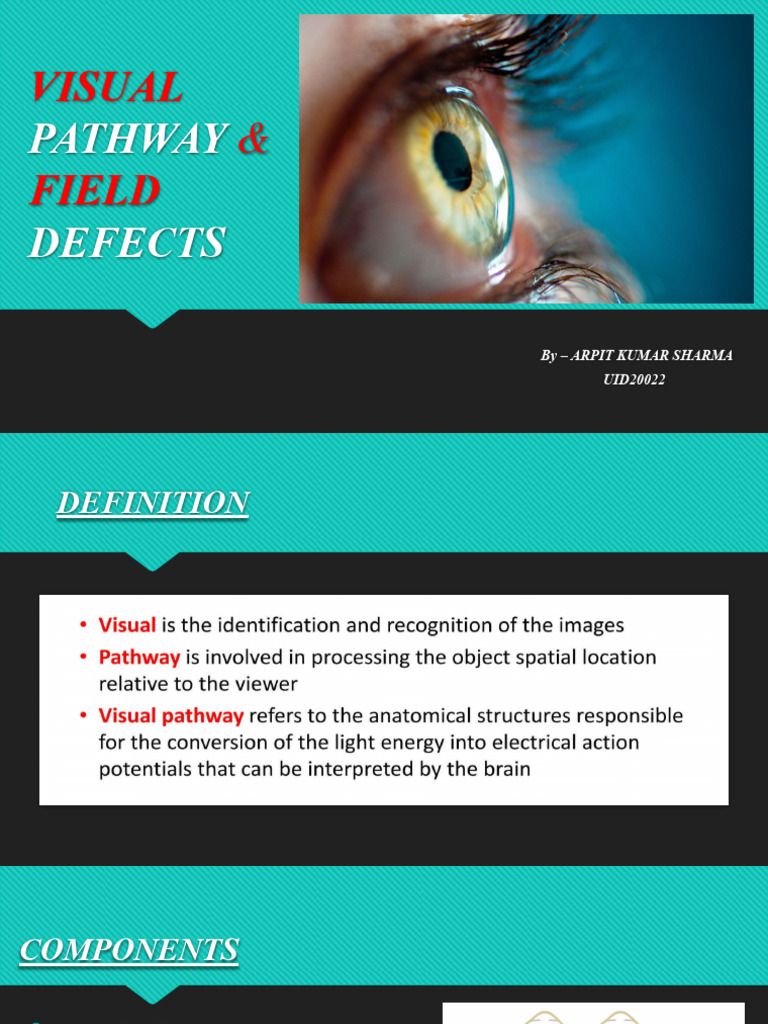 Visual Pathway and Field Defects Overview | PDF | Self-Improvement ...