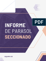 Grupo 03 - Informe de Parasol Seccionado