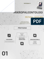 23.1 Mikropaleontologi Protozoa