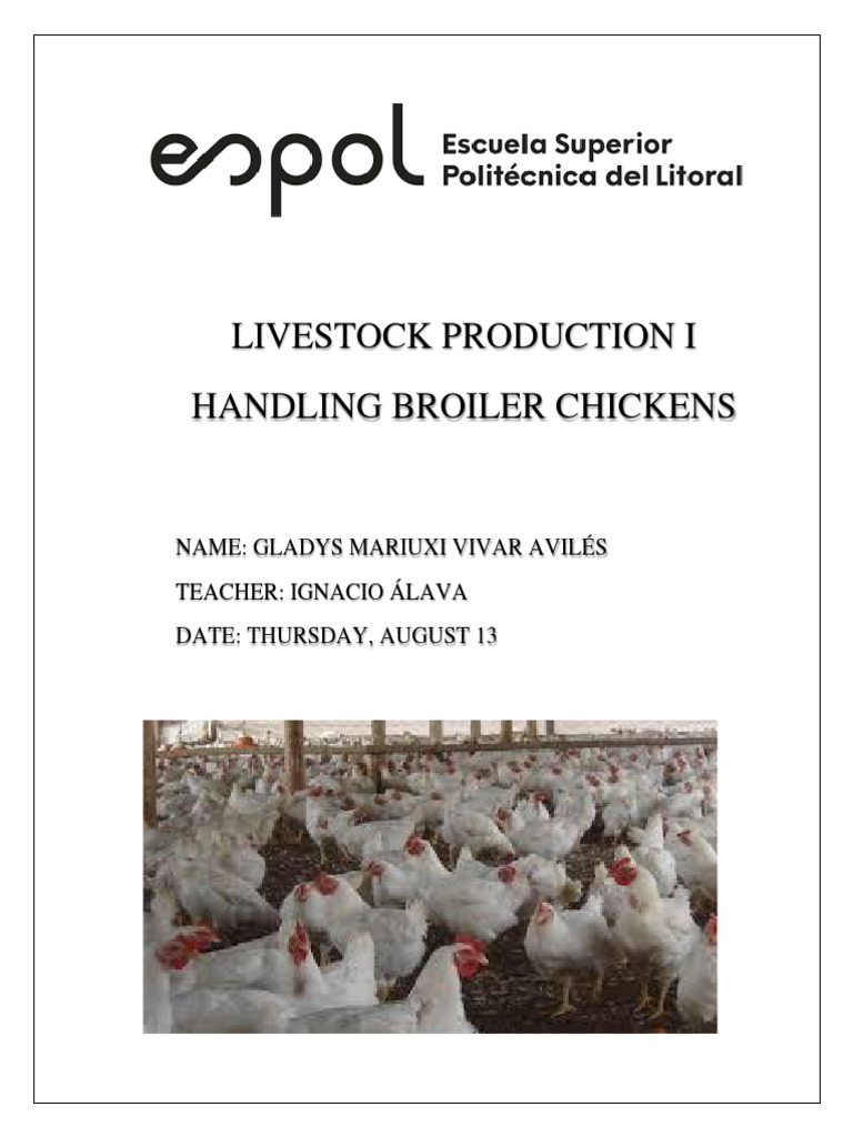 Handling Broiler Chickens PDF