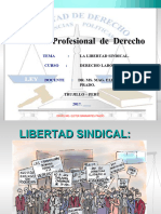 Libertad Sindical - Colectivo