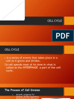 Cell Division